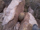 photo thumbnail #11