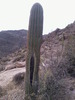 photo thumbnail #14