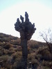 photo thumbnail #8