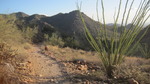 photo thumbnail #3