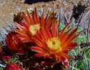 photo thumbnail #2