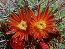 photo thumbnail #3