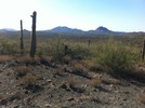 photo thumbnail #2