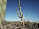 photo thumbnail #3