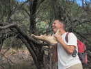 photo thumbnail #3