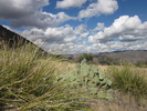 photo thumbnail #12