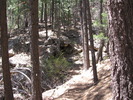 photo thumbnail #4