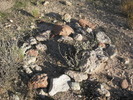 photo thumbnail #1