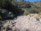 photo thumbnail #5