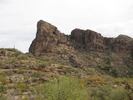photo thumbnail #5