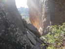 photo thumbnail #5
