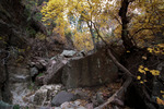 photo thumbnail #1