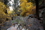 photo thumbnail #5