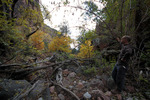 photo thumbnail #6