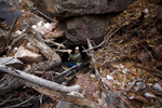 photo thumbnail #9