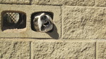 photo thumbnail #13