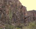 photo thumbnail #4