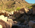 photo thumbnail #6