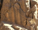 photo thumbnail #11