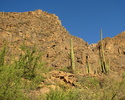 photo thumbnail #13
