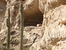 photo thumbnail #9