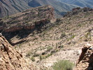 photo thumbnail #13