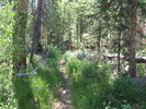 photo thumbnail #7