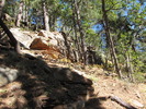 photo thumbnail #5