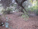 photo thumbnail #11