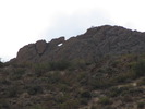 photo thumbnail #12