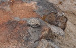 photo thumbnail #13