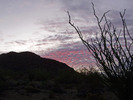 photo thumbnail #3