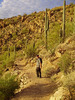 photo thumbnail #6