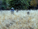 photo thumbnail #7