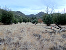 photo thumbnail #8