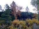 photo thumbnail #15