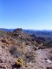 photo thumbnail #6