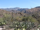 photo thumbnail #2