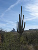 photo thumbnail #5