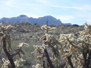 photo thumbnail #6