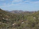 photo thumbnail #7