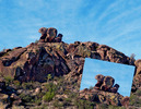 photo thumbnail #3