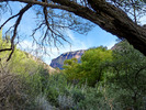 photo thumbnail #8