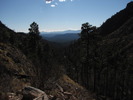photo thumbnail #10