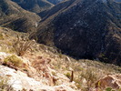 photo thumbnail #9