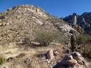 photo thumbnail #11