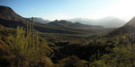 photo thumbnail #3