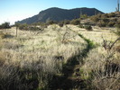 photo thumbnail #6