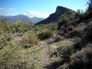 photo thumbnail #14