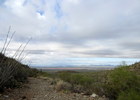 photo thumbnail #1